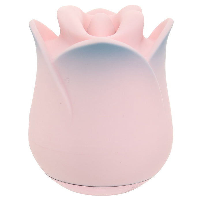 Blush Kissing Rose Vibe