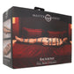 Master Series Backbone Full Body Harness Restraint