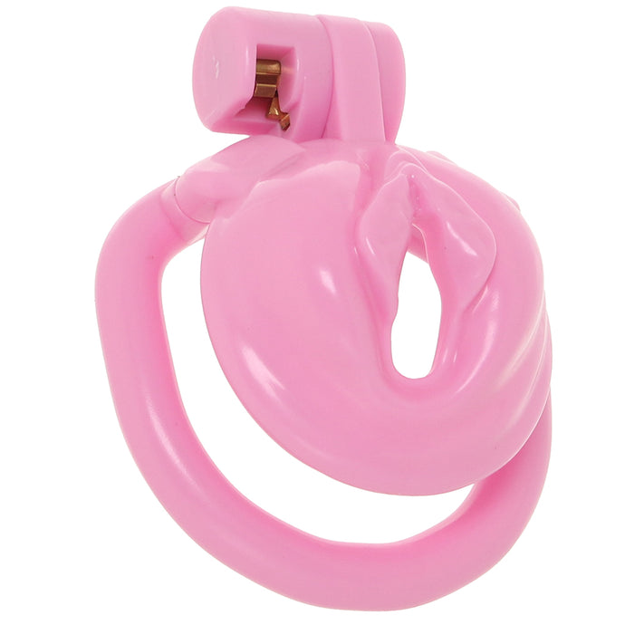 Blueline Bitchboy Degrading Mini Chastity Cage