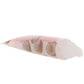 GoodHead Pout Perfection Lip Balm in Coconut Cream