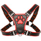 Master Series Alpha Pup Bulldog Harness in Red