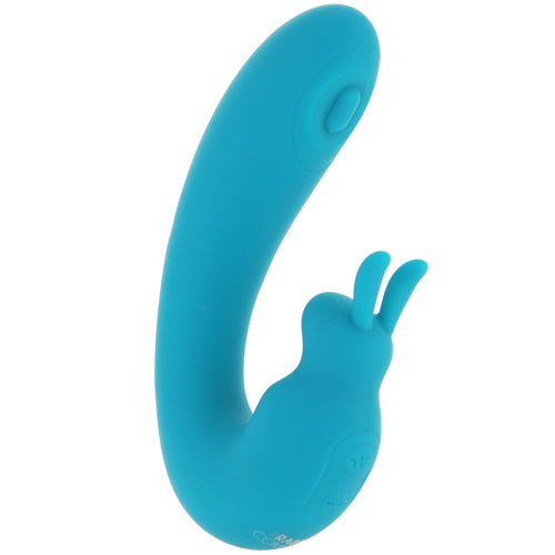 The Internal Rabbit Vibe in Teal